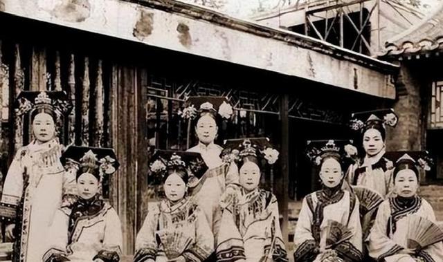 清朝时期，8名宫女被送进古墓陪葬，不料，墓室内爬进许多花蛇