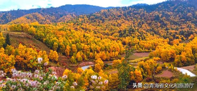 秋风叩黄南，一场与山水私语的秋日浪漫邀约