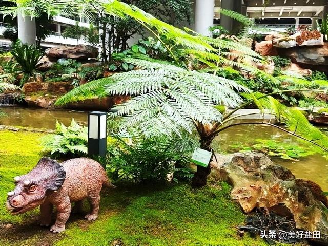 想去！华大时空中心遛娃攻略来啦！