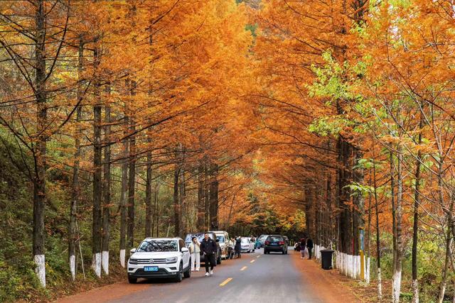中国最美乡村公路