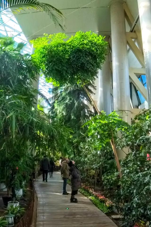 以花之名,邂逅满园春色