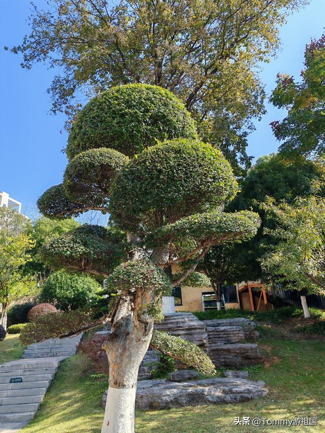 开着房车去流浪：打卡长沙狮子山公园