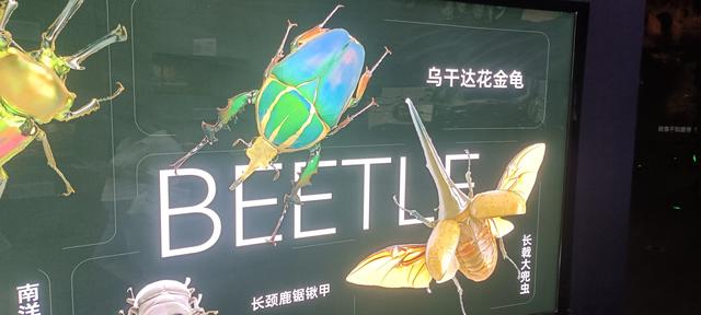 西安长安云昆虫展你来了吗