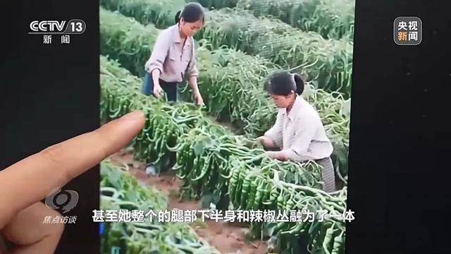 假的！假的！很多人信了！央视曝光