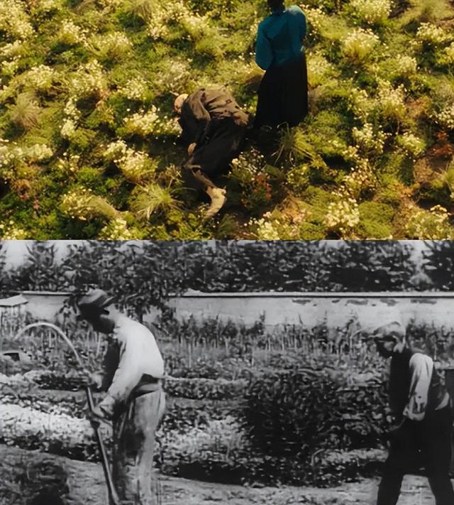 《狂野时代》，到底在讲什么？|挑战全网最深度解读