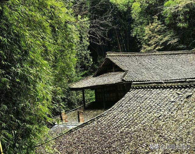 成都邛崃被严重低估的徒步路线，全部免费，未来将爆火，魅力十足