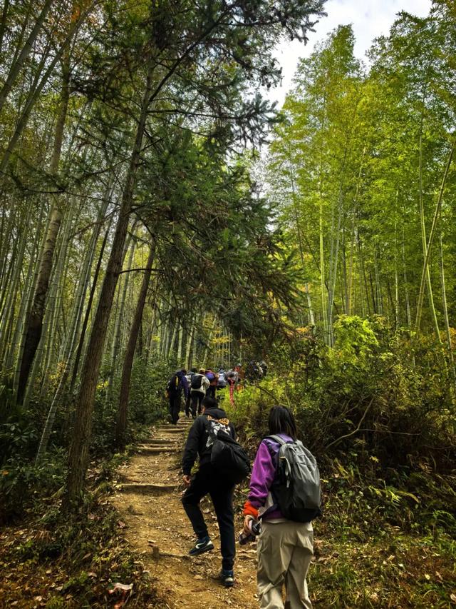 为什么越来越多的人喜欢爬山了?