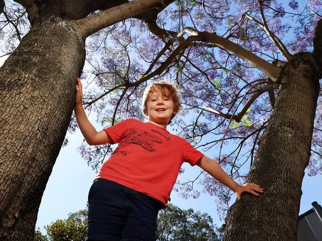 澳洲一年一次的绝美风景再度刷屏! 周杰伦也在打卡, 华人狂偶遇