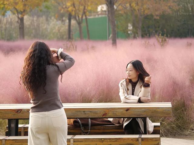 在顺义这些宝藏公园邂逅斑斓秋景——