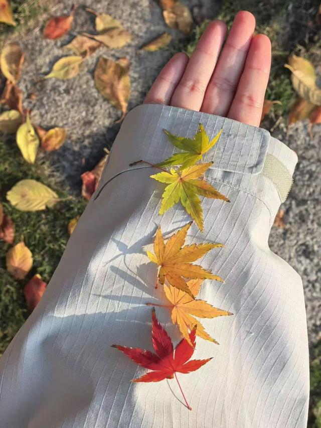 在汉阳的秋天，捡出一个灵感宝库