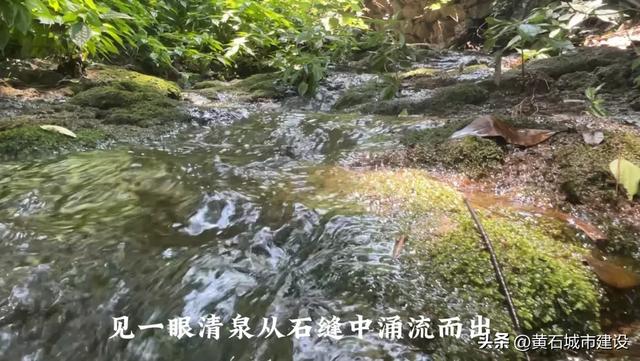 黄石这一山上 藏着一处桃花源