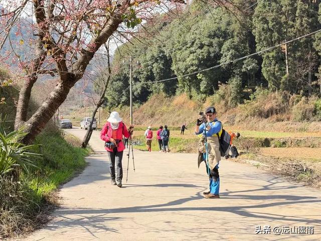 阳光明媚的冬日里，我们爬山去，逛陡坡村、看冬樱花，做晴朗的事