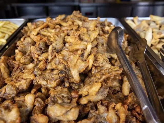 冬日奇遇开启！五洲植物乐园藏着超多惊喜！寻绿不跑空！12月营业时间新鲜出炉~