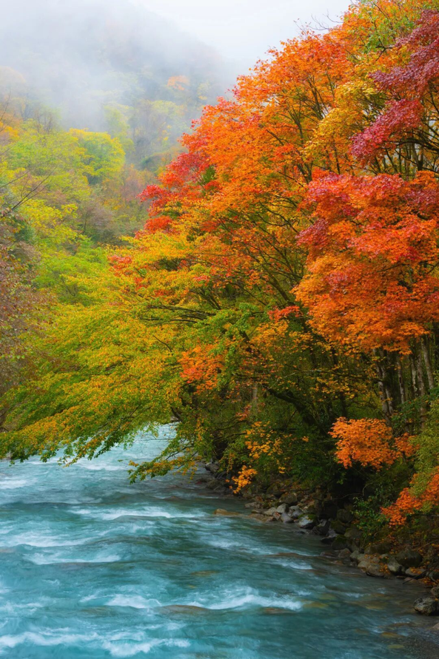 《2025雅安深秋耍事》出炉！这样耍，安逸得很！