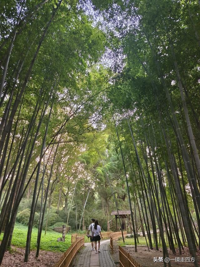 苏州虎丘打造夜游庙会迎双节，闭园时间延长到晚上九点