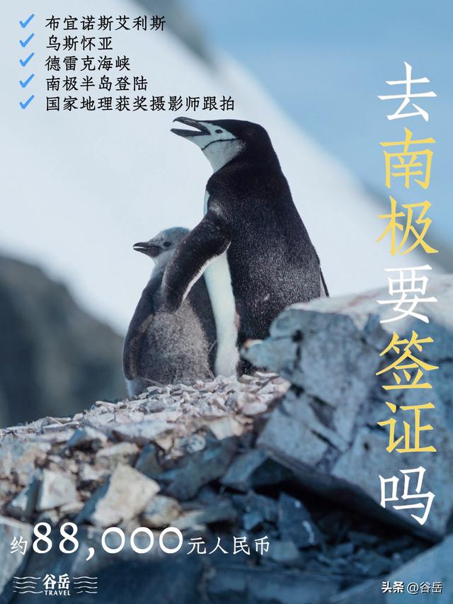 去南极要办签证吗？答错可能去不成！