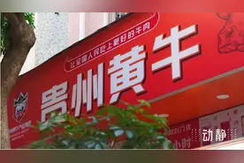 成立半年，贵州这个新集团干了什么？图片