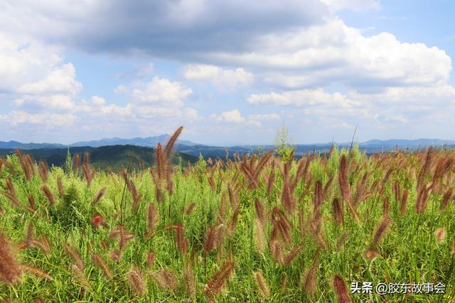 胶东见闻笔记：栖霞“唐山硼”两度游