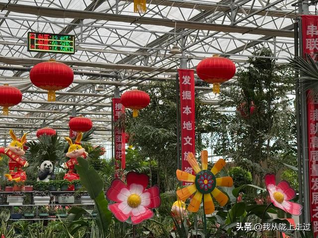 紧急提醒！靖远海洋动物嘉年华剩最后2天，这份游玩攻略请收好！