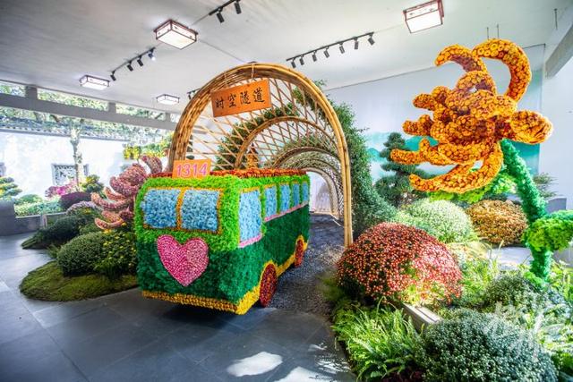 全是人人人人人！一年一度杭州“顶流”人气菊花展登场