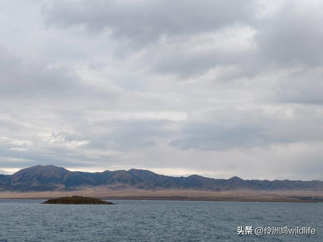新疆明珠——赛里木湖