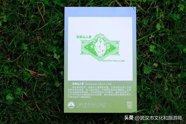 当武汉植物园来了“新朋友”！五大自助神器，等你来解锁