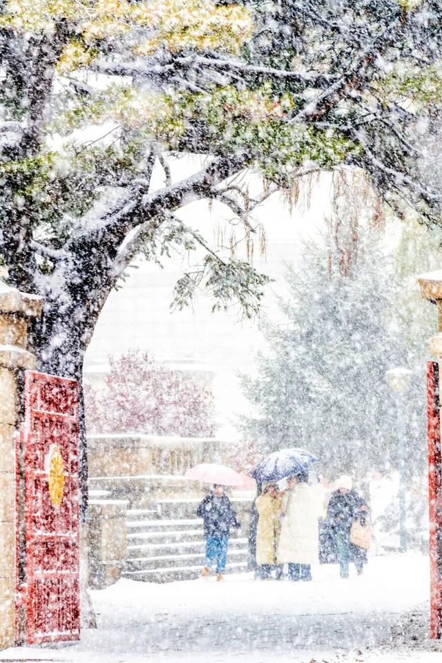 哥儿几个亮IP！大东北欢迎您！