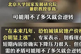 房价暴涨预警！北大教授预测：未来几年打工人可能再也买不起房了图片