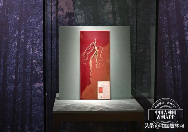 新发路观察｜看过这个展，你才真正触摸到吉林