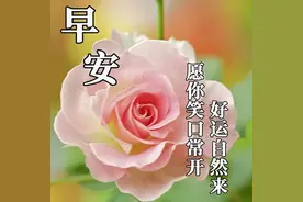 今日最新早晨问候美好短语，简短的早安励志句子，晨起祝福心中友图片