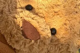 Jellycat巴塞罗熊壁纸🧸 ​​​图片