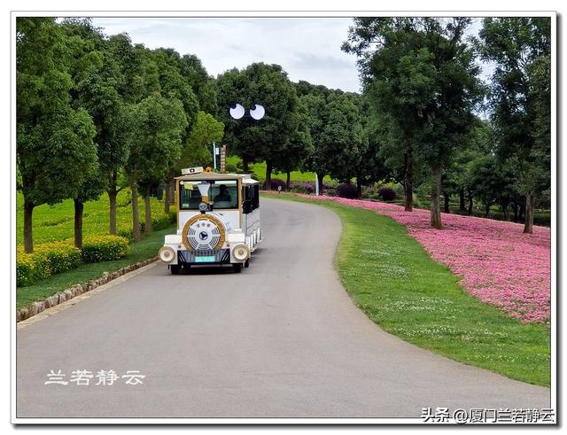 云南弥勒：太平湖森林公园的大地艺术作品