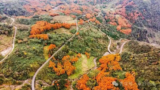 漫山彩林，琉璃坝的色彩美学