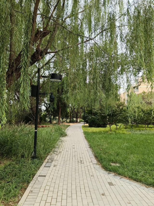 天津复兴门桥《绿道公园》