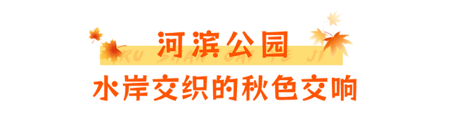 当秋风吻过乳山：一场关于色彩与治愈的漫步指南