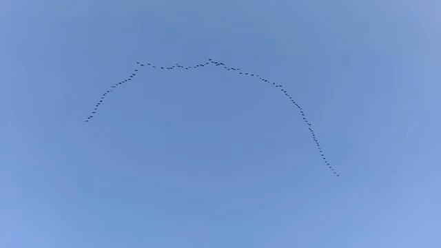 吴江开通专线！带你追“顶流”！