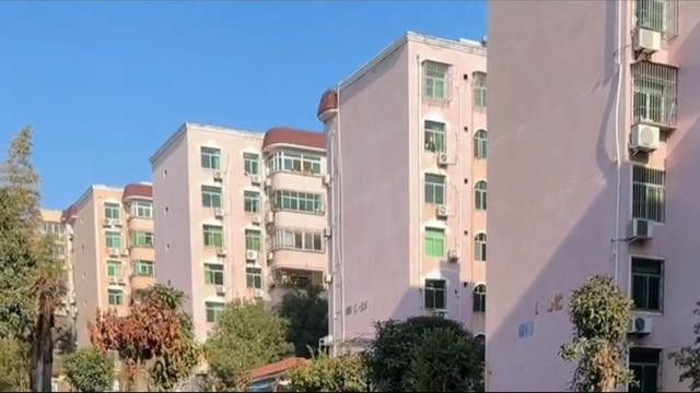 安康竹园小区：一方绿意四季如画，自然与人文之美