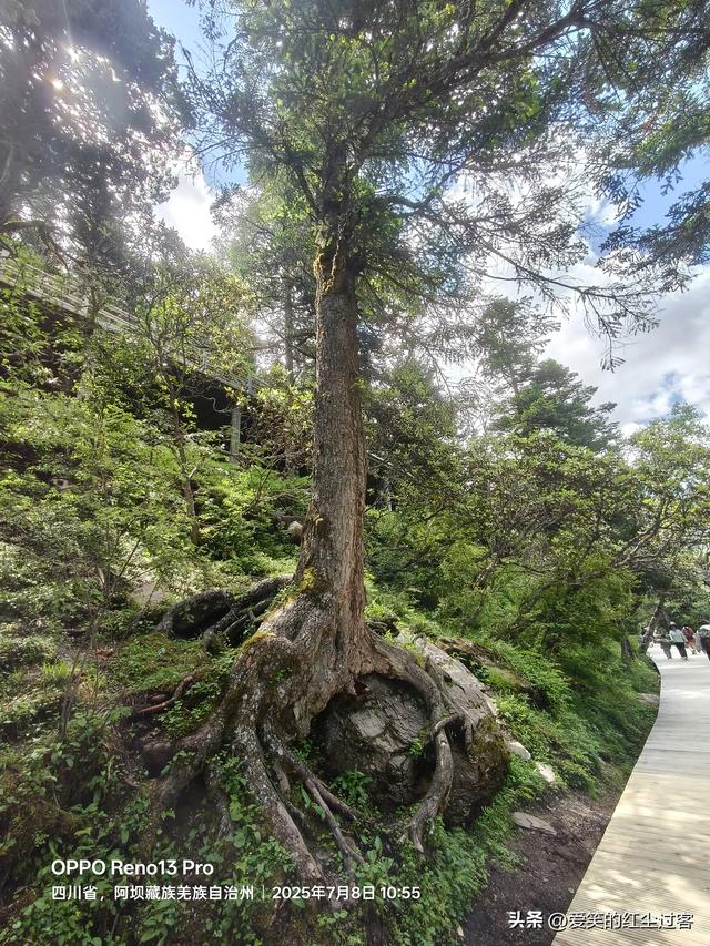 我的旅行日记——雨中游黄龙