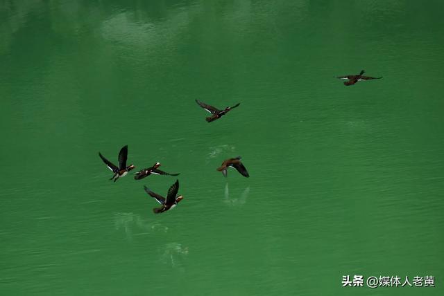 酉沿黄金线精华段首航激活跨省文旅新动能