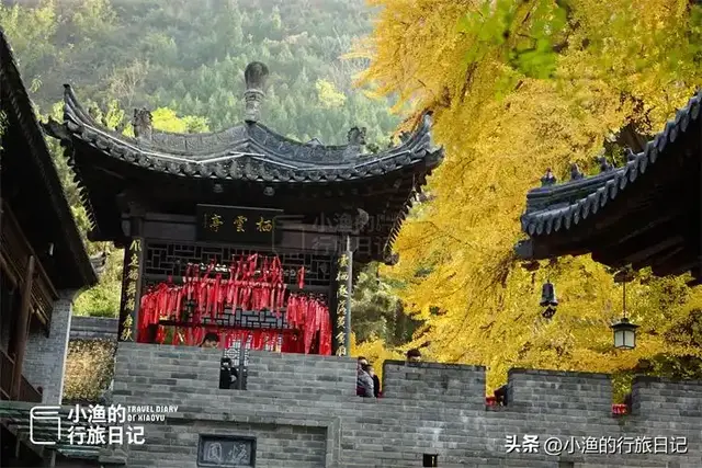 陕西古树，真的“封神”了！第二弹：秋天必看系列，最意外是它？