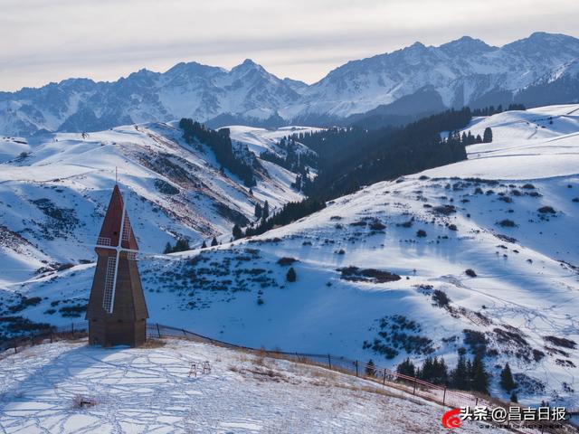 视觉·昌吉 | 银装素裹江布拉克 雪映松林绘冬图