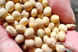 ​液体有机肥怎么制作？自己动手，方法简单实用图片