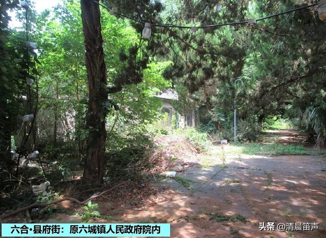 寻常巷陌：六合·县府街