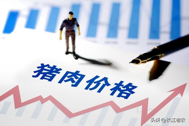 生猪价格开始企稳，消费开始热络起来了，完全企稳还是要到12月