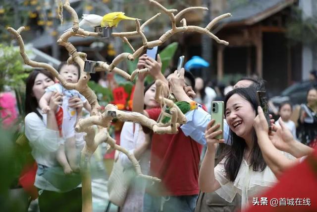 “宜宾，值得再来！”