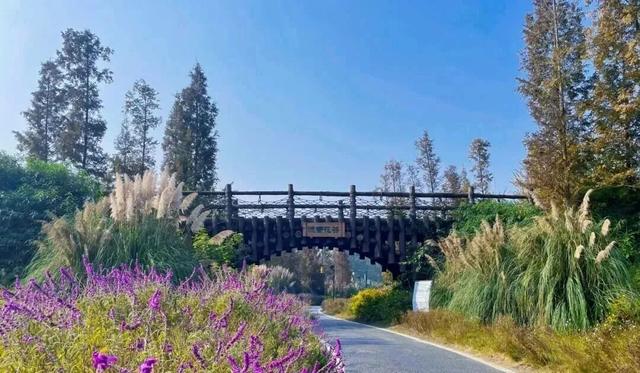 新津冬日徒步，看这里……