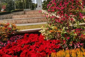 说说含“众”字的成语大世界图片