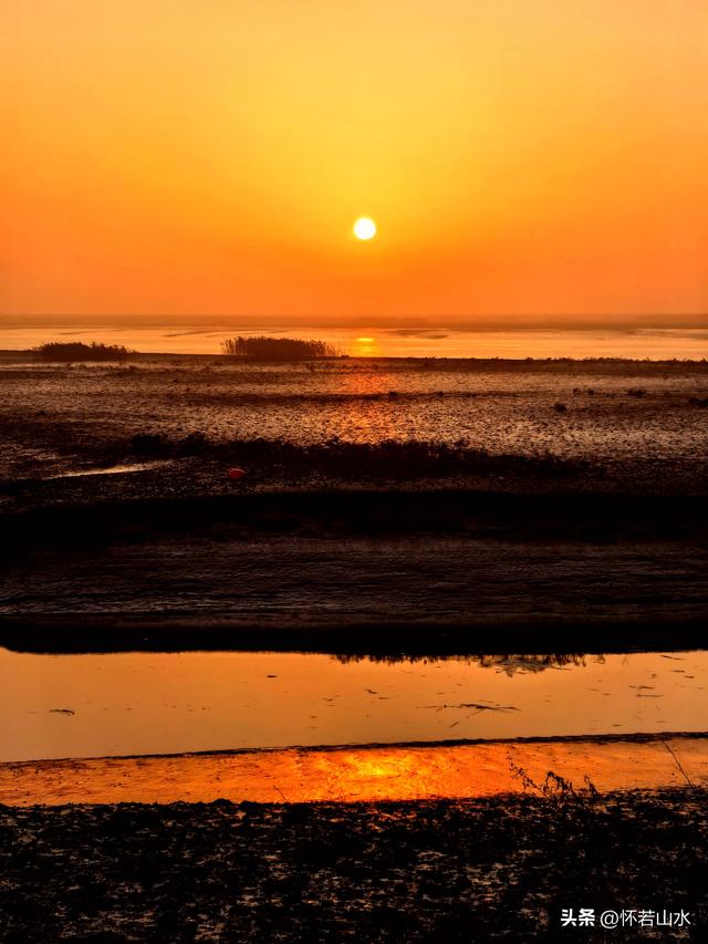 2025辽宁赏秋之旅日记(6)——到辽河口中国最北海岸线看日出 观鸟