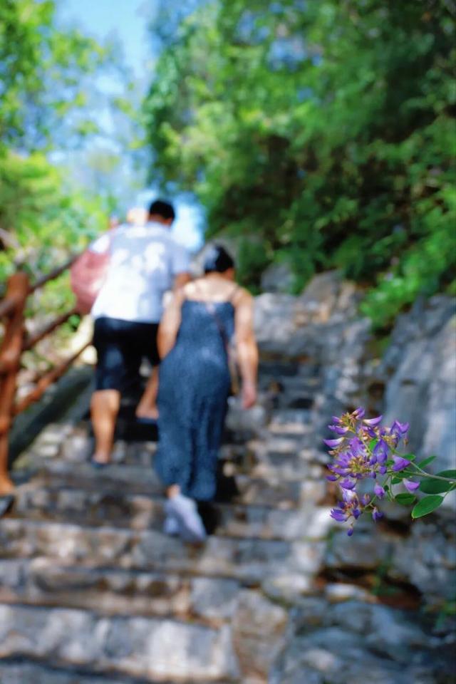 老师快来！神农山免索道，重点是景色太绝