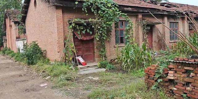 531工程的那些年：看看它是如何从辉煌到废墟